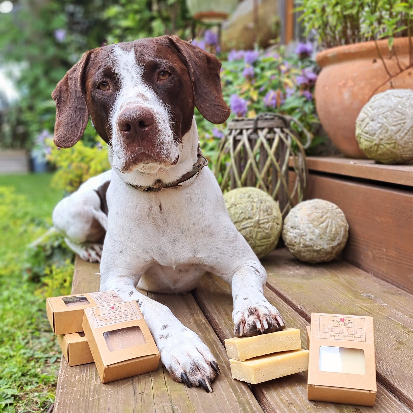 Hunde-Glück-Seife